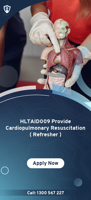 HLTAID009 Provide Cardiopulmonary Resuscitation Refresher Online Course in Melbourne, Australia - Oscar Academy Provide First Aid course in AU
